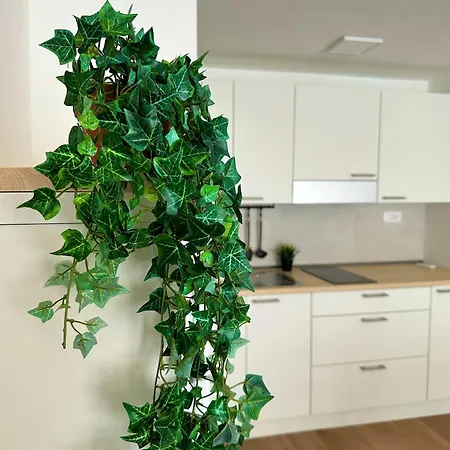 Apartment In Mezzo All'aria