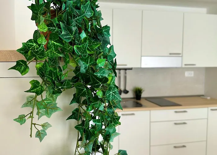 Apartamento In Mezzo All'aria